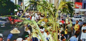 Palmeros de Chacao