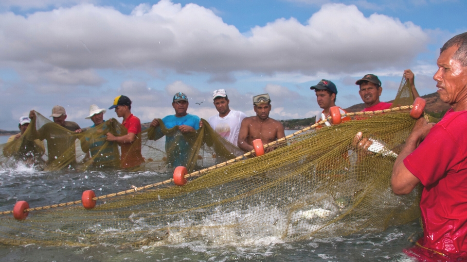 Pesca artesanal Venezuela