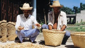 agricultura Venezuela