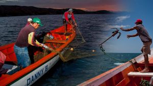 Pesca mar Caribe