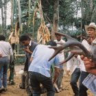 Turas, Falcón, Venezuela