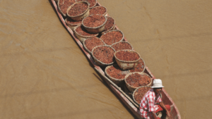 mejor cacao